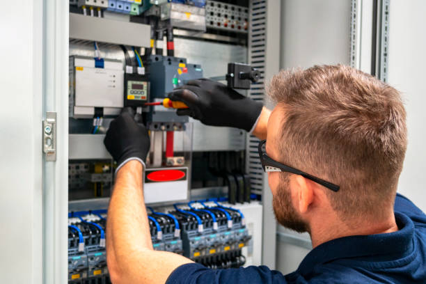 Best Ceiling Fan Installation Electrician  in Louise, TX