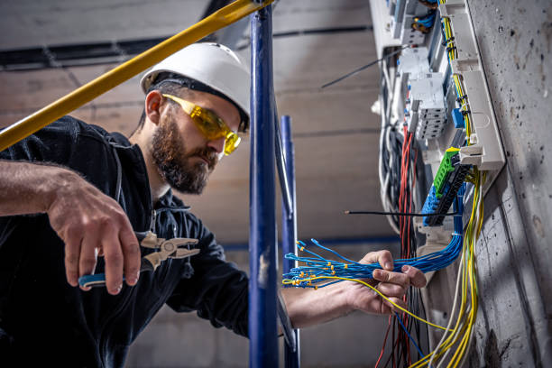 Best Emergency Electrical Repair  in Louise, TX