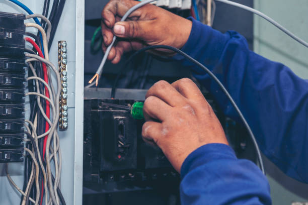 Best Residential Electrician Services  in Louise, TX