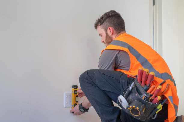 Best Emergency Electrician Near Me  in Louise, TX