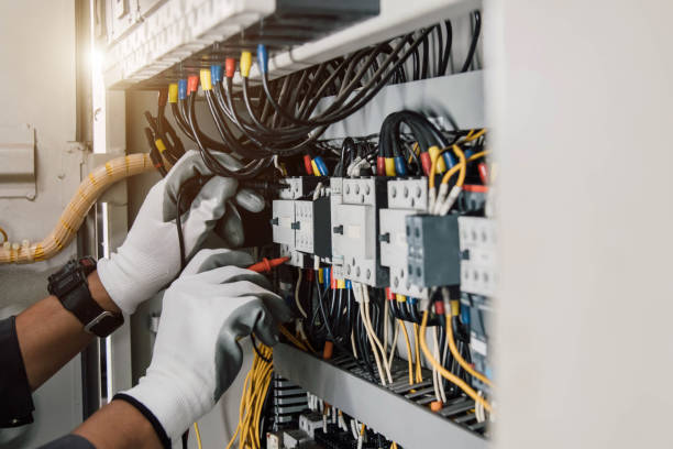 Best Electrical Repair Services  in Louise, TX